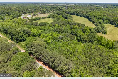 1167 Highway 142, Covington, GA 30014 - Photo 3