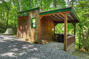 316 Pigeon Creek Rd, Blue Ridge, GA 30513 - Photo 55