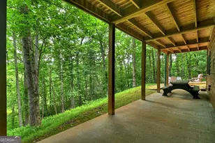 316 Pigeon Creek Rd, Blue Ridge, GA 30513 - Photo 63