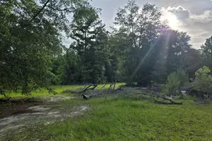 56 April Ln, Chauncey, GA 31011 - Photo 37