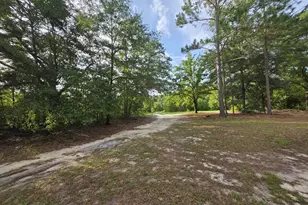 56 April Ln, Chauncey, GA 31011 - Photo 11
