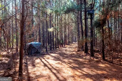 0 Crooked Road #TRACT 2, Millen, GA 30442 - Photo 23