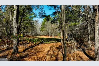0 Crooked Road #TRACT 2, Millen, GA 30442 - Photo 29