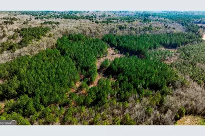 0 Crooked Road #TRACT 2, Millen, GA 30442 - Photo 3