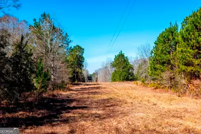 0 Crooked Road #TRACT 2, Millen, GA 30442 - Photo 15