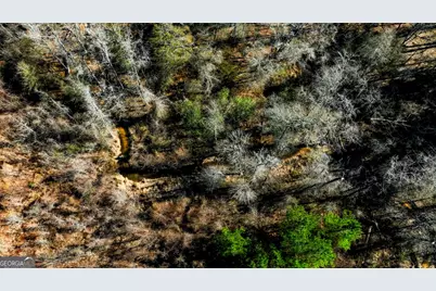 0 Crooked Road #TRACT 2, Millen, GA 30442 - Photo 11