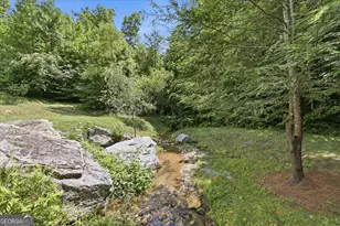 383 Bull Frog Ln, Clayton, GA 30525 - Photo 9
