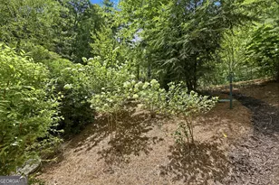 383 Bull Frog Ln, Clayton, GA 30525 - Photo 23