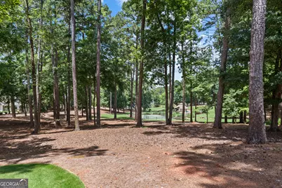 1041 Terrell Circle, Greensboro, GA 30642 - Photo 59
