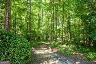 131 Fielding Ridge, Peachtree City, GA 30269 - Photo 51