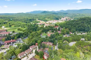 327 Brucken Strasse, Helen, GA 30545 - Photo 55