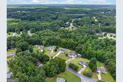 115 Macedonia Woods Drive, Newnan, GA 30263 - Photo 43