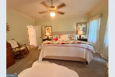 265 N Main Street, Reidsville, GA 30453 - Photo 21