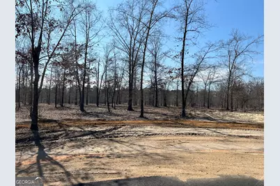0 Holly Ridge Lot 6, Dublin, GA 31021 - Photo 1