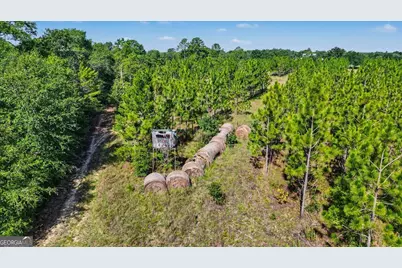 4781 Lj Road, Claxton, GA 30417 - Photo 65