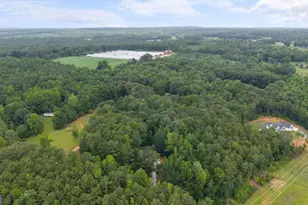 91 Water Spaniel Ln, Carrollton, GA 30116 - Photo 37