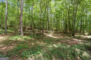 91 Water Spaniel Ln, Carrollton, GA 30116 - Photo 35