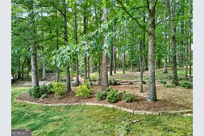 245 Ryans Court, Sharpsburg, GA 30277 - Photo 57