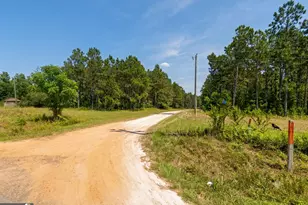 0 Spotlight Cir, Chester, GA 31012 - Photo 1