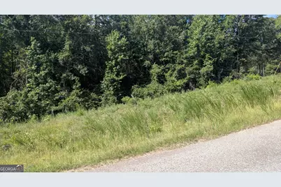 111 Chipper Lane, Sparta, GA 31087 - Photo 3