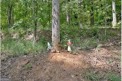 270 Southridge, Senoia, GA 30276 - Photo 57