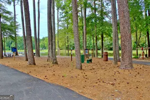 103 Bay Point, Peachtree City, GA 30269 - Photo 67
