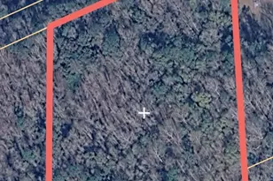 0 Cousins Rd, Greenville, GA 30222 - Photo 1