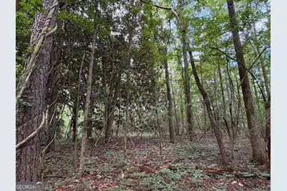0 Cousins Road, Greenville, GA 30222 - Photo 7