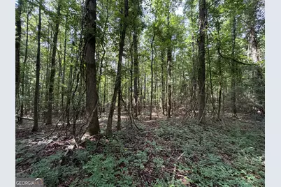 0 Cousins Road, Greenville, GA 30222 - Photo 9