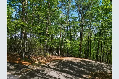 1095 McElroy Mountain Drive, Big Canoe, GA 30143 - Photo 5