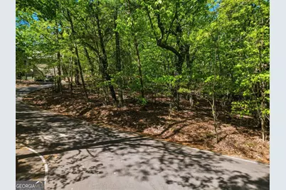 1095 McElroy Mountain Drive, Big Canoe, GA 30143 - Photo 3