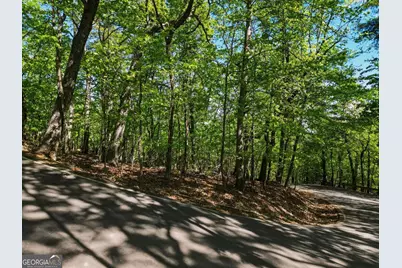 1095 McElroy Mountain Drive, Big Canoe, GA 30143 - Photo 7