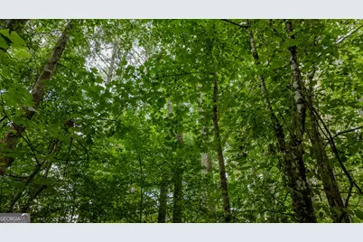 0 Brimer Road #3.907+/- AC, Newnan, GA 30263 - Photo 21