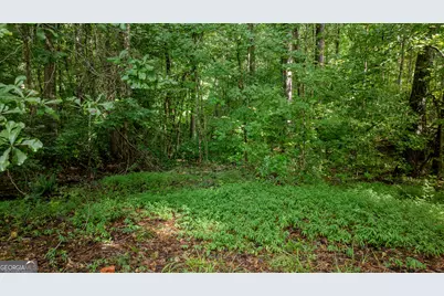 0 Brimer Road #3.907+/- AC, Newnan, GA 30263 - Photo 15