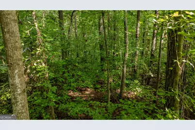 0 Brimer Road #3.907+/- AC, Newnan, GA 30263 - Photo 17