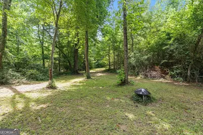 590 W Highway 5, Roopville, GA 30170 - Photo 49