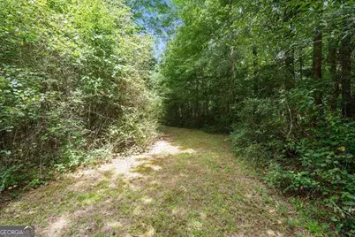590 W Highway 5, Roopville, GA 30170 - Photo 57