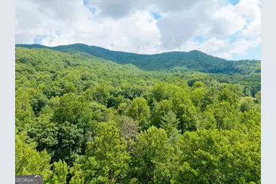 108 Leisure Woods Lane, Hiawassee, GA 30546 - Photo 29