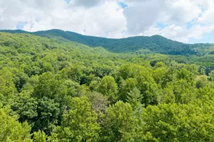 108 Leisure Woods Ln, Hiawassee, GA 30546 - Photo 29