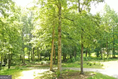 242 Sunrise Cove, Clarkesville, GA 30523 - Photo 17