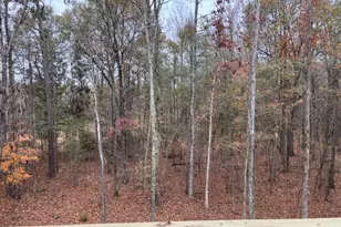 221 Summit View Dr, McDonough, GA 30253 - Photo 11