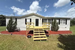 10 Humpback St, Midville, GA 30441 - Photo 3