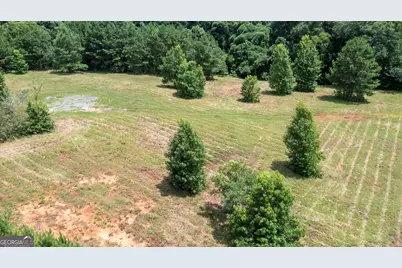0 Whitehouse Parkway, Warm Springs, GA 31830 - Photo 7