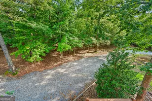 23 Dolores Dr, Mineral Bluff, GA 30559 - Photo 47