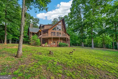 23 Dolores Drive, Mineral Bluff, GA 30559 - Photo 53