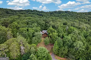 23 Dolores Dr, Mineral Bluff, GA 30559 - Photo 3