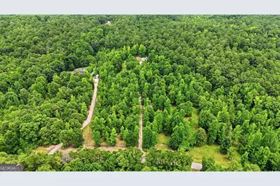 316 Biltmore Road, Mansfield, GA 30055 - Photo 63