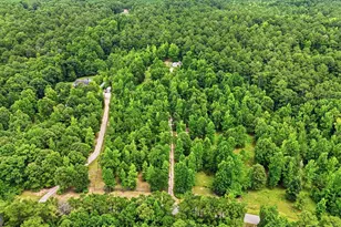 316 Biltmore Rd, Mansfield, GA 30055 - Photo 63