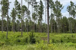 006 Old Monticello Rd, Milledgeville, GA 31061 - Photo 1