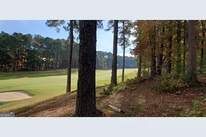 2320 Club Drive, Greensboro, GA 30642 - Photo 11
